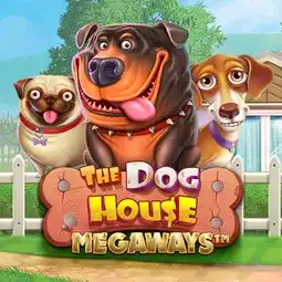 The Dog House Megaways game at Instaspin Casino for United Kingdom players