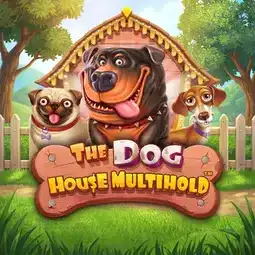 The Dog House Multihold game at Instaspin Casino for United Kingdom players